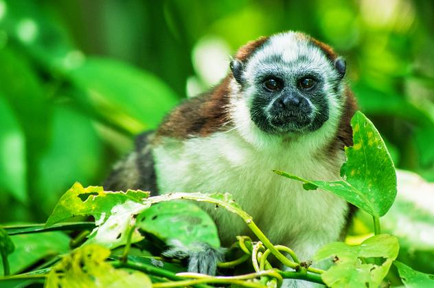 Costa Rica und Panama entspannt entdecken – Reiseeindruck 3