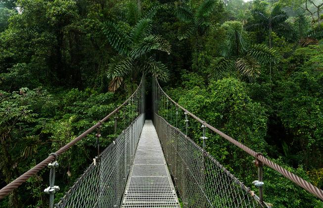 Costa Rica, Nicaragua und Panama - Naturschätze, Kulturerbe und Panamakanal – Reiseeindruck 4