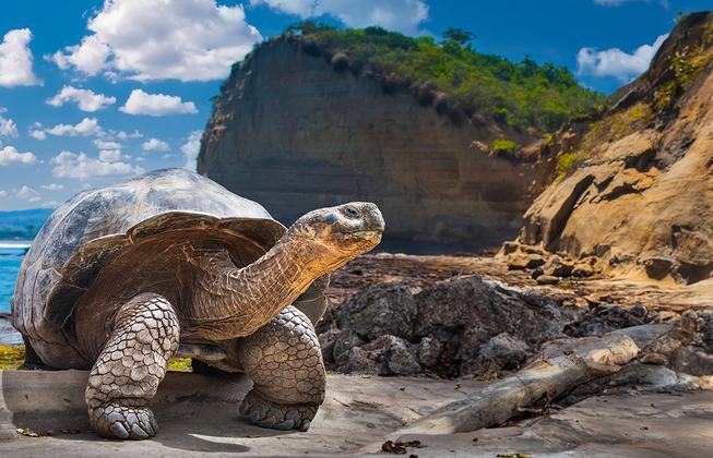 Ecuador und Galápagos - ein Land voller Wunder – Reiseeindruck 4