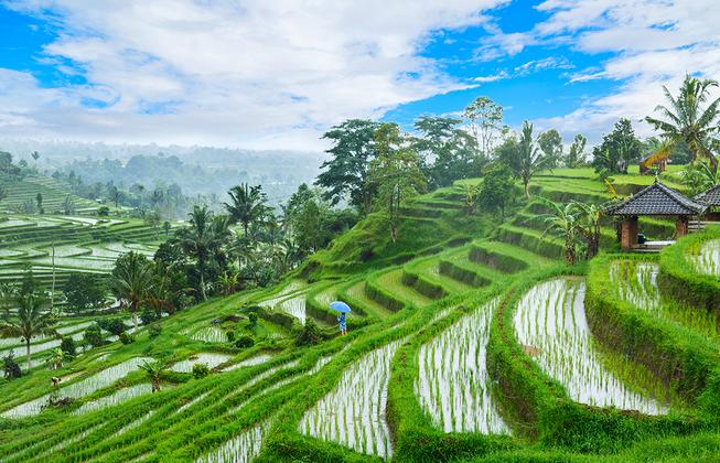 Bali - Naturwunder, Tempel und Meer – Reiseeindruck 5