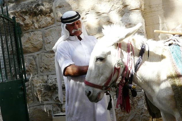 Israel und Meer – Reiseeindruck 5