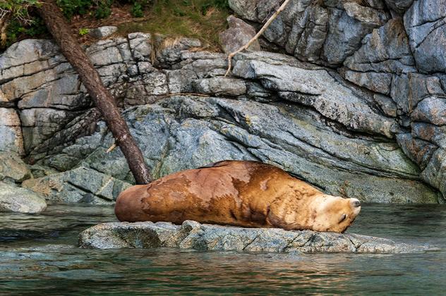 Die Große Kanadareise – Reiseeindruck 3