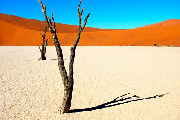 Reisebild: Entdeckungsreise Namibia