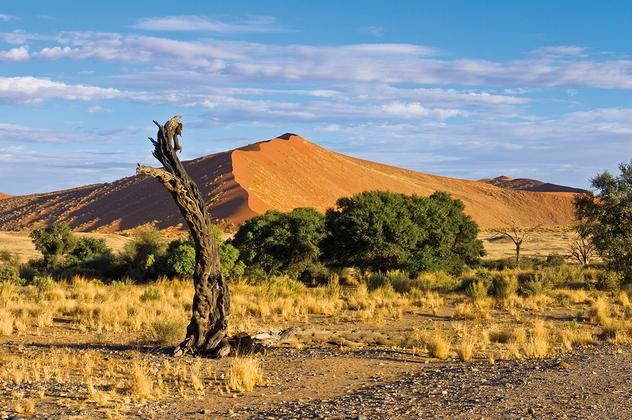 Entdeckungsreise Namibia – Reiseeindruck 2