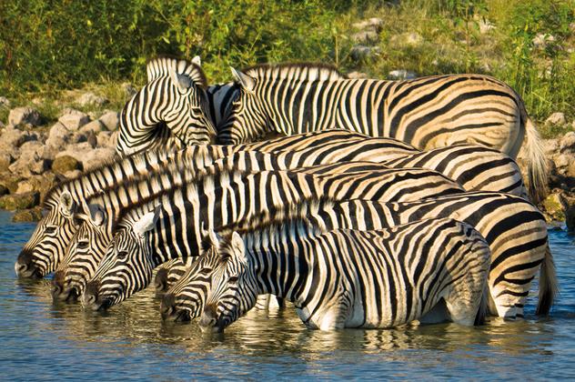 Entdeckungsreise Namibia – Reiseeindruck 3