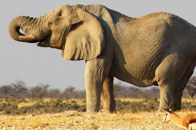 Faszination Namibia – Reiseeindruck 5