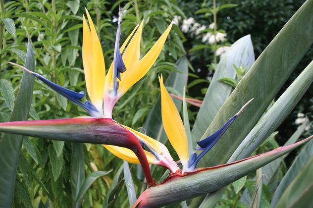 Die große Südafrika-Reise – Reiseeindruck 3
