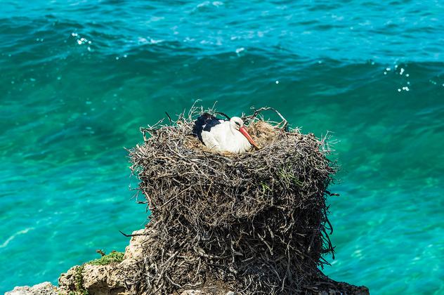 Azoren ─ Inselhüpfen im Atlantik – Reiseeindruck 4