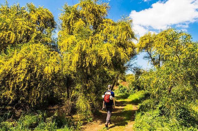 Algarve - wandern an der facettenreichen Südküste – Reiseeindruck 2