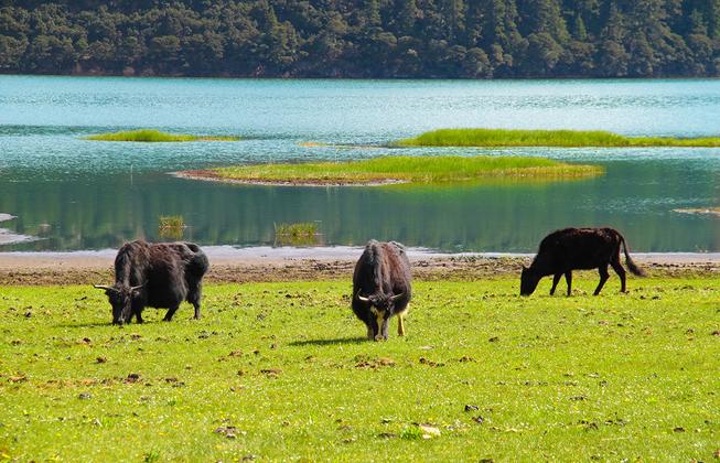 China - Yunnans Mosaik der Traditionen – Reiseeindruck 3