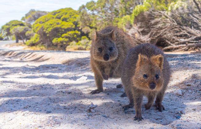 Australien - eine Reise durch die Traumzeit – Reiseeindruck 3