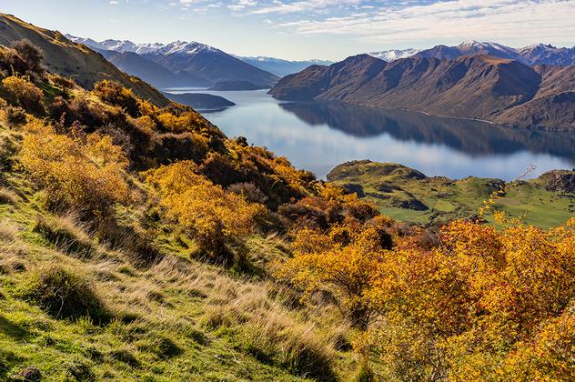 Neuseeland auf Schritt und Tritt – Reiseeindruck 4
