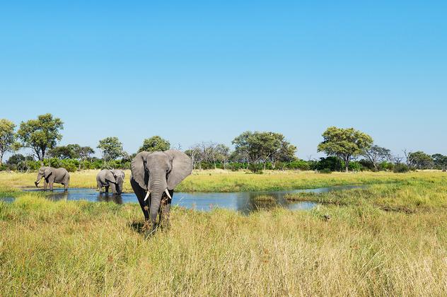 Botswana und Simbabwe - donnernder Rauch und Okavango-Delta – Reiseeindruck 4