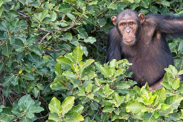 Gambia entdecken – Reiseeindruck 3
