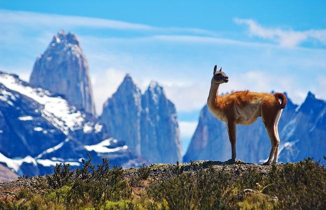 Reisebild: Chile und Argentinien - einzigartiges Patagonien privat