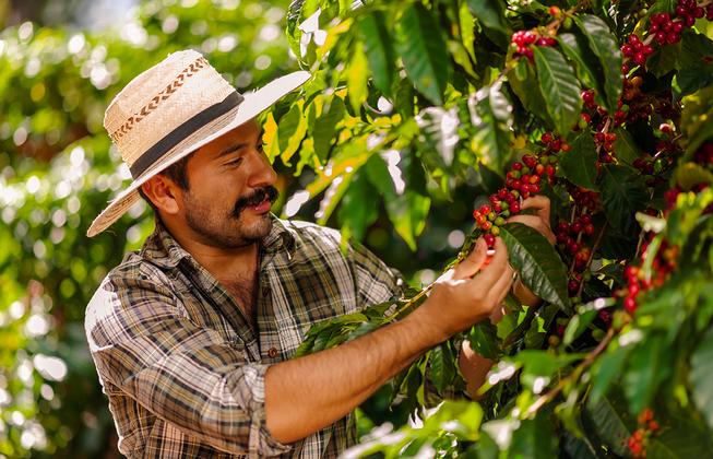 Costa Rica - im Herzen der Natur privat – Reiseeindruck 5