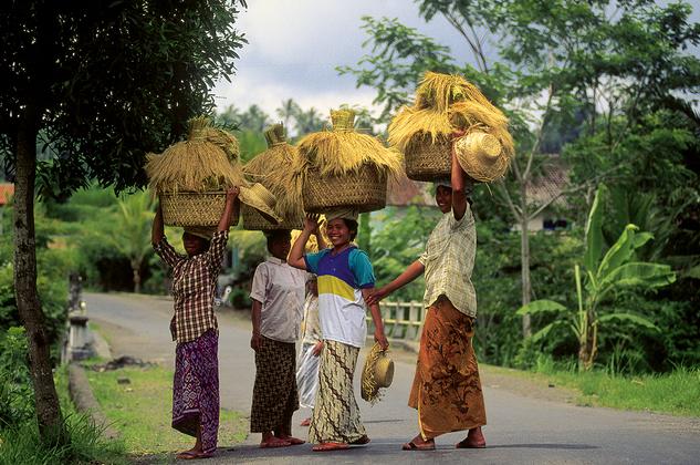 Bali auf einen Blick – Reiseeindruck 5