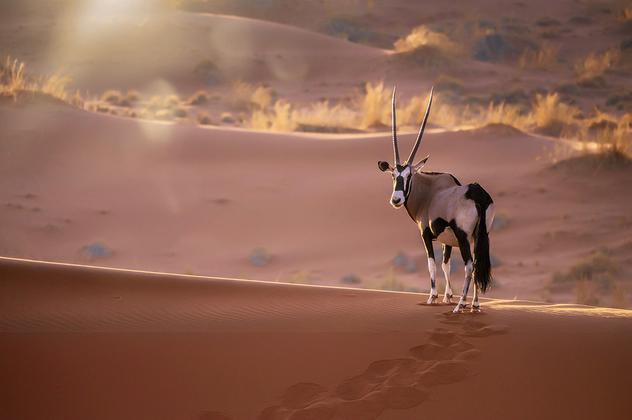 Entdeckungsreise Namibia privat – Reiseeindruck 2