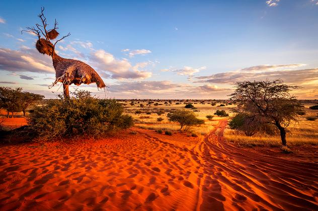 Entdeckungsreise Namibia privat – Reiseeindruck 3