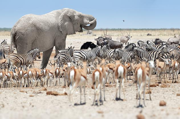 Entdeckungsreise Namibia privat – Reiseeindruck 5