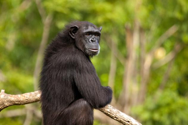 Gambia privat entdecken – Reiseeindruck 2