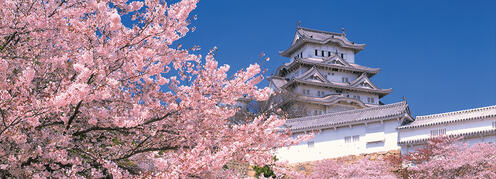 Japan für Entdecker