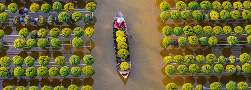 Vietnam Vibes - Kultur, Genuss und Strandmomente