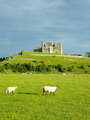 Irland ─ Fáilte grüne Insel