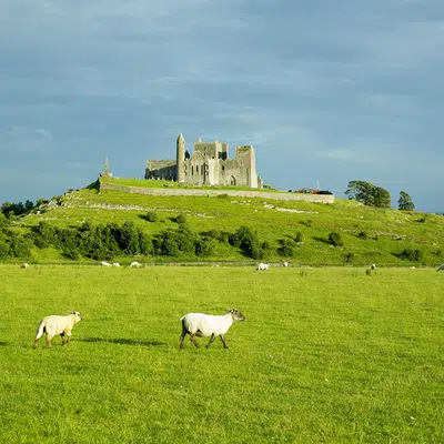 Irland ─ Fáilte grüne Insel