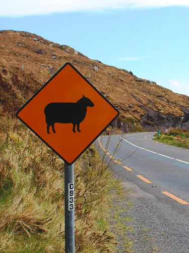 Irland ─ Fáilte grüne Insel