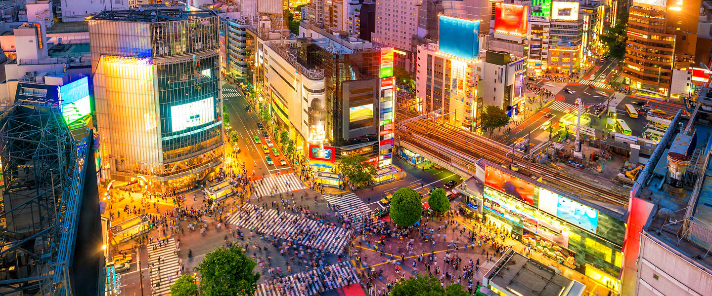 Japan auf einen Blick