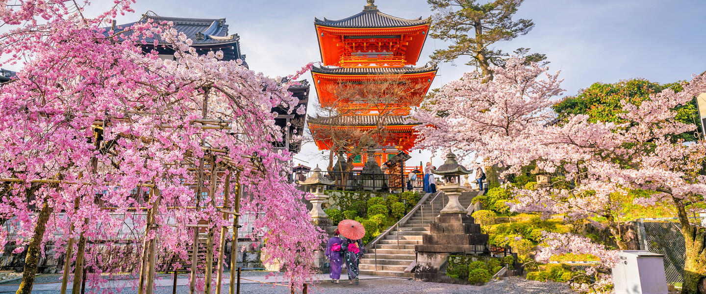 Japan auf einen Blick