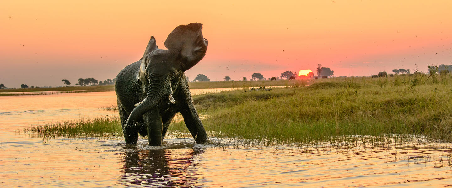 Namibia, Botswana und Simbabwe