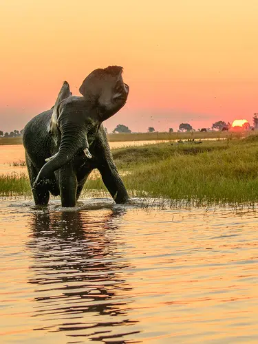Namibia, Botswana und Simbabwe