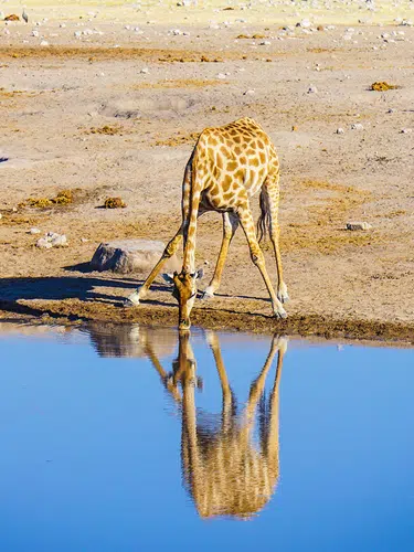 Namibia, Botswana und Simbabwe