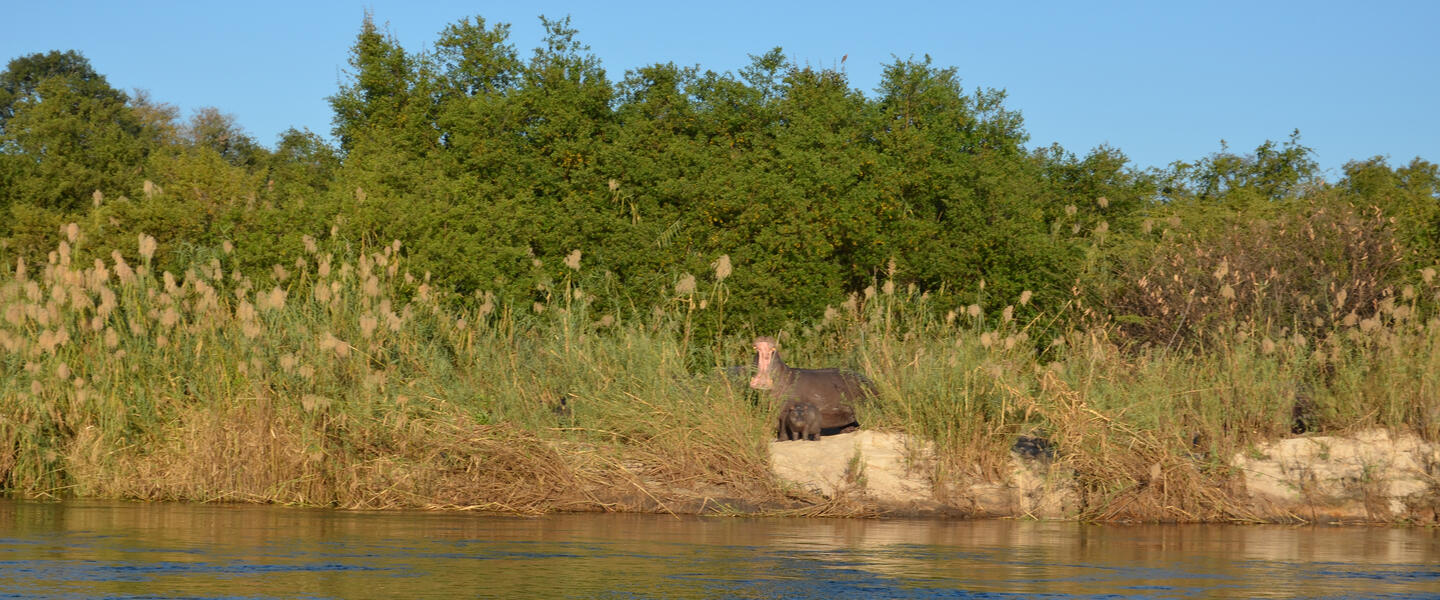 Die Höhepunkte Namibias