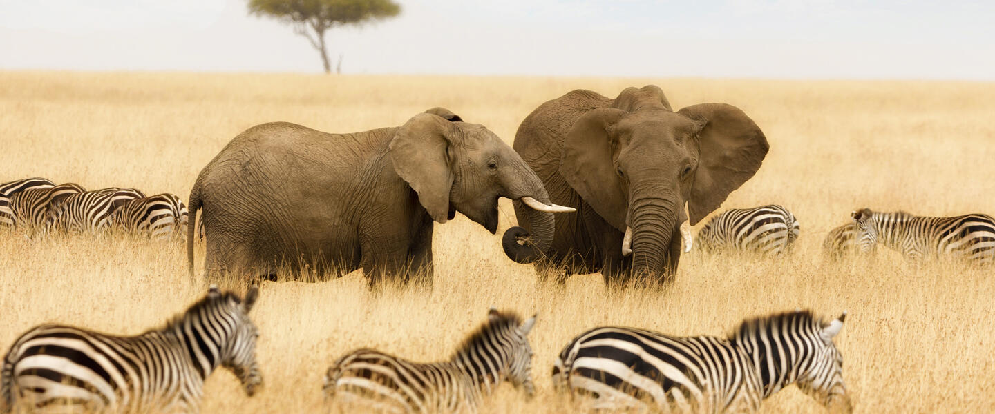 Namibia - Atemberaubende Weite