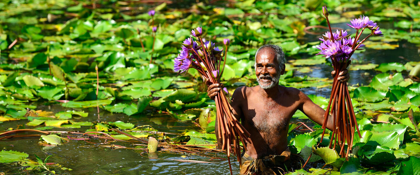 Sri Lanka - Inselträume im Indischen Ozean