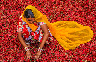Indien - Spiritualität im Himalaya