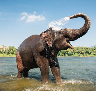 Die Farben Südindiens