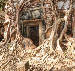 Tempelzauber in Vietnam und Kambodscha Tempelzauber in Vietnam und Kambodscha