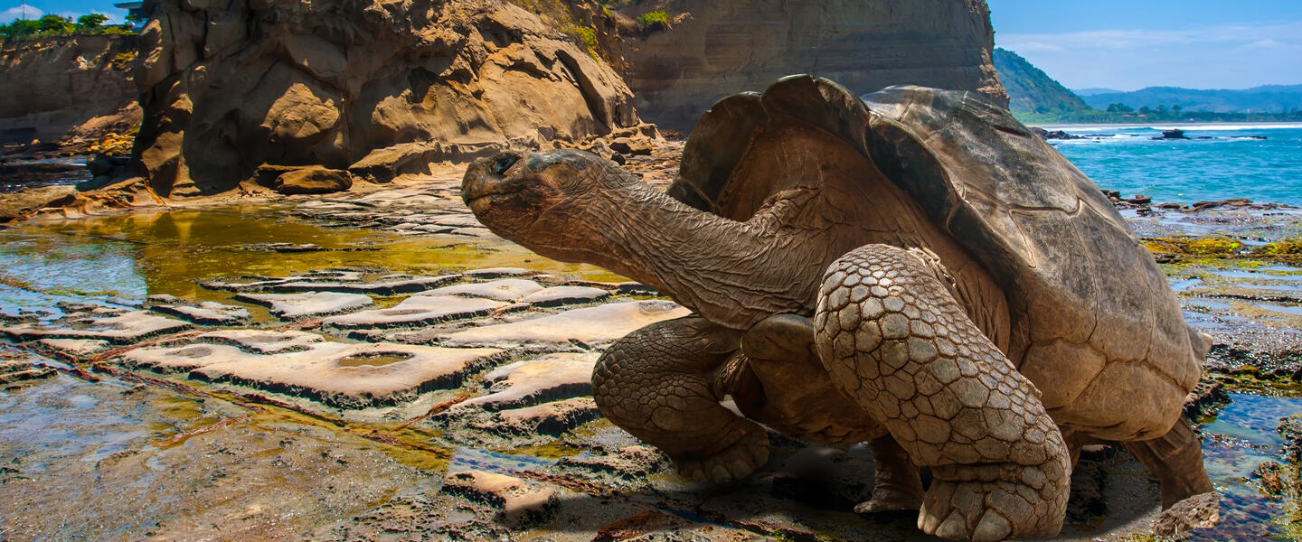 Große Südamerika Rundreise mit Galápagos Große Südamerika Rundreise mit Galápagos