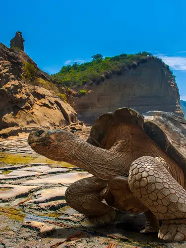 Große Südamerika Rundreise mit Galápagos