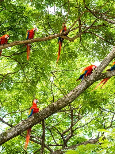 Costa Rica und Panama entspannt entdecken