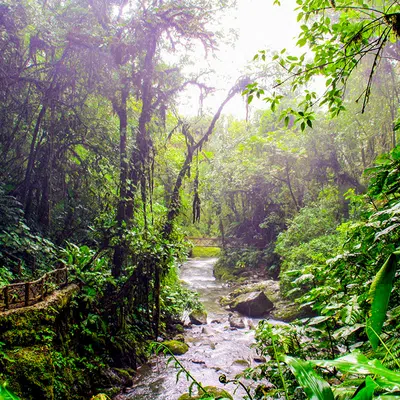 Pura Vida - Naturparadies Costa Rica