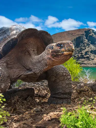 Ecuador und Galápagos zum Kennenlernen