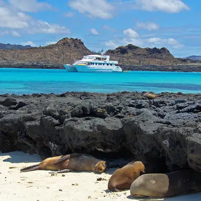Ecuador und Galápagos-Kreuzfahrt ─ ein Land voller Wunder