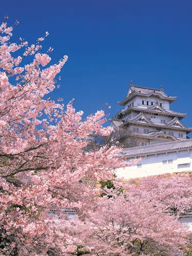 Japan für Entdecker