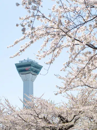 Japan - mit dem Zug von Nord nach Süd