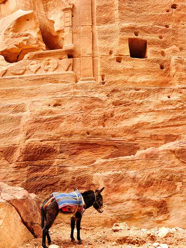 Jordanien Highlights